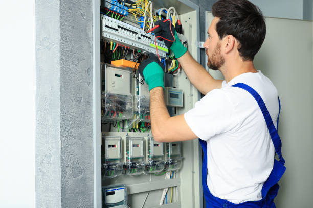 Best Electric Panel Repair  in Lapeer, MI